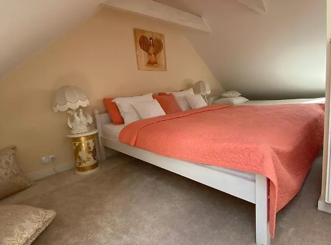 Cafe Duo Bed & Breakfast 3*